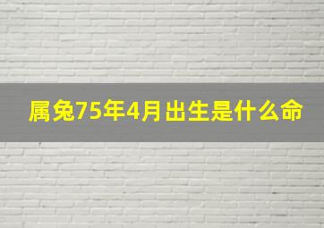 属兔75年4月出生是什么命