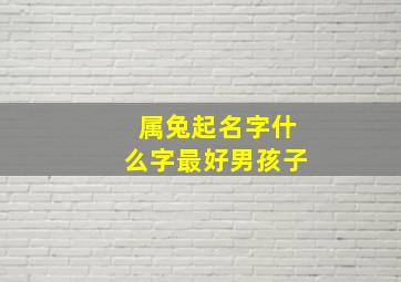 属兔起名字什么字最好男孩子