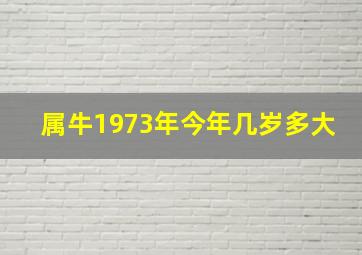 属牛1973年今年几岁多大