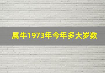 属牛1973年今年多大岁数