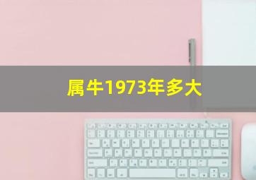 属牛1973年多大