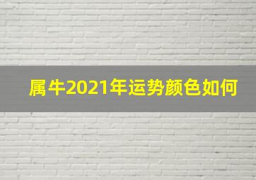 属牛2021年运势颜色如何