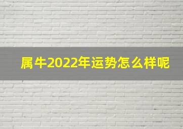 属牛2022年运势怎么样呢