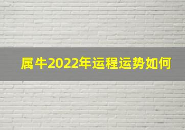 属牛2022年运程运势如何