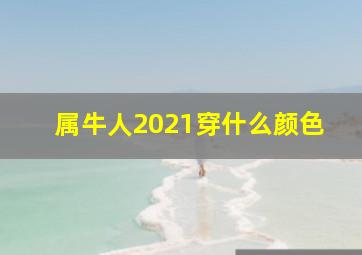 属牛人2021穿什么颜色