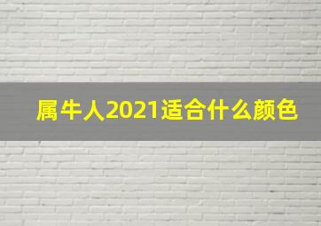 属牛人2021适合什么颜色