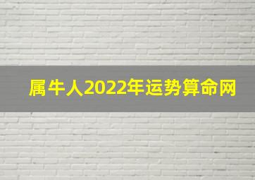 属牛人2022年运势算命网