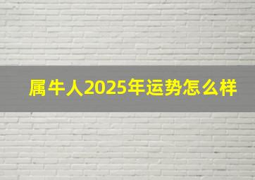 属牛人2025年运势怎么样