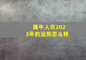 属牛人在2023年的运势怎么样