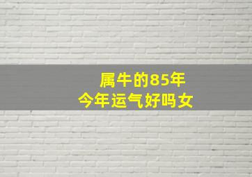 属牛的85年今年运气好吗女