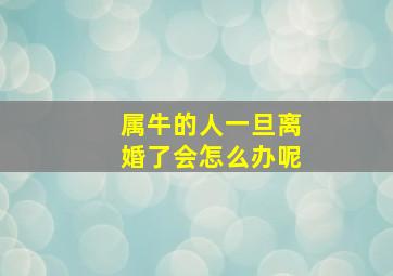 属牛的人一旦离婚了会怎么办呢