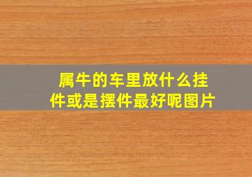 属牛的车里放什么挂件或是摆件最好呢图片