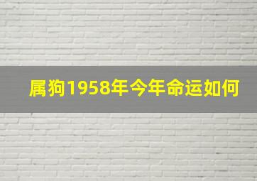 属狗1958年今年命运如何