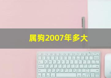 属狗2007年多大