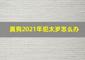 属狗2021年犯太岁怎么办