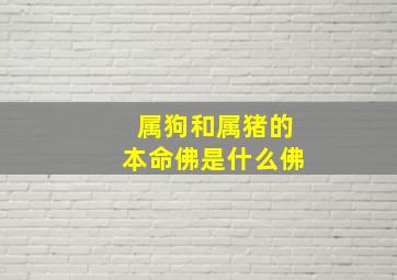 属狗和属猪的本命佛是什么佛