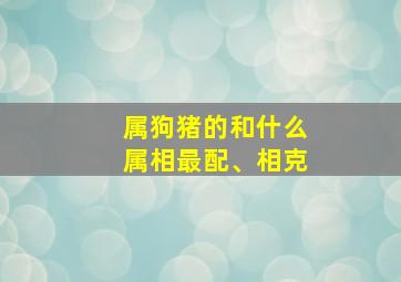 属狗猪的和什么属相最配、相克