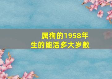 属狗的1958年生的能活多大岁数