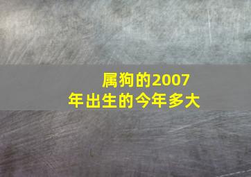 属狗的2007年出生的今年多大