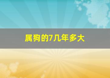 属狗的7几年多大