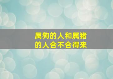 属狗的人和属猪的人合不合得来