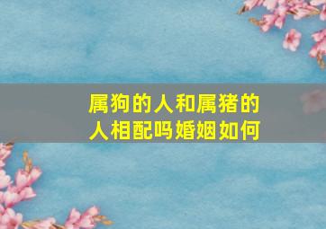 属狗的人和属猪的人相配吗婚姻如何