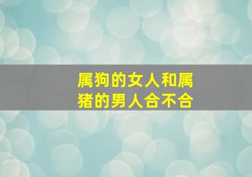 属狗的女人和属猪的男人合不合