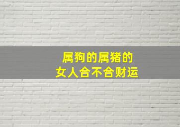 属狗的属猪的女人合不合财运