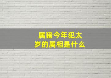 属猪今年犯太岁的属相是什么