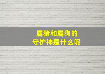 属猪和属狗的守护神是什么呢