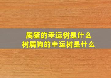 属猪的幸运树是什么树属狗的幸运树是什么