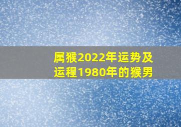 属猴2022年运势及运程1980年的猴男