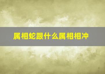 属相蛇跟什么属相相冲