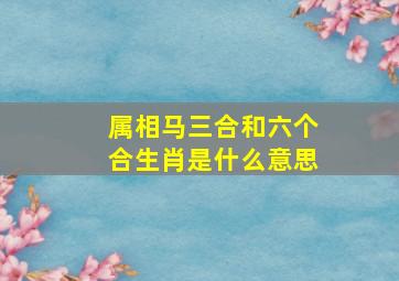 属相马三合和六个合生肖是什么意思