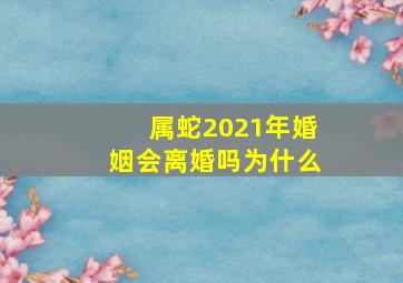 属蛇2021年婚姻会离婚吗为什么