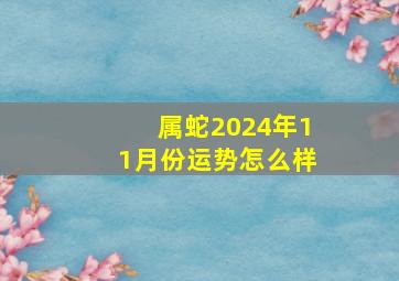 属蛇2024年11月份运势怎么样