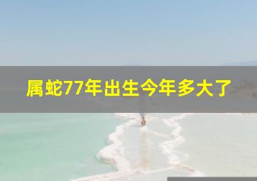 属蛇77年出生今年多大了