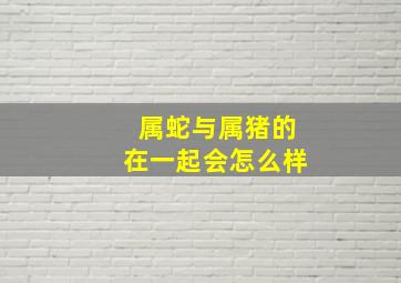 属蛇与属猪的在一起会怎么样