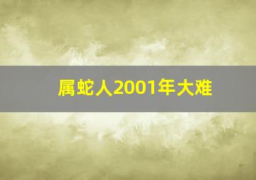 属蛇人2001年大难