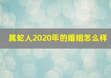 属蛇人2020年的婚姻怎么样