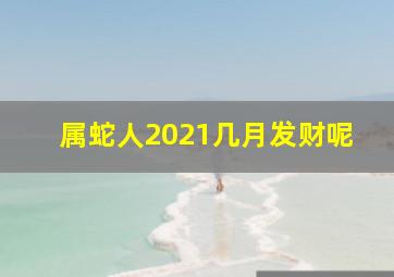 属蛇人2021几月发财呢