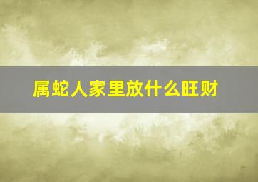 属蛇人家里放什么旺财