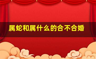 属蛇和属什么的合不合婚