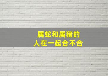 属蛇和属猪的人在一起合不合