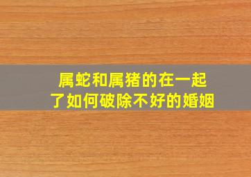 属蛇和属猪的在一起了如何破除不好的婚姻