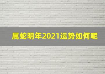 属蛇明年2021运势如何呢