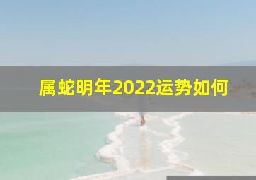 属蛇明年2022运势如何