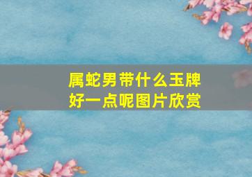 属蛇男带什么玉牌好一点呢图片欣赏