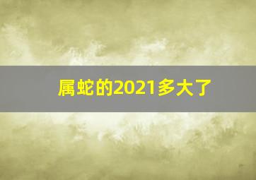 属蛇的2021多大了