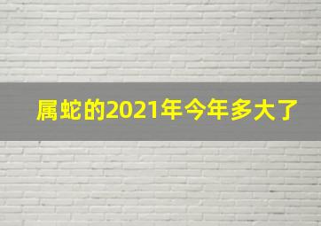 属蛇的2021年今年多大了